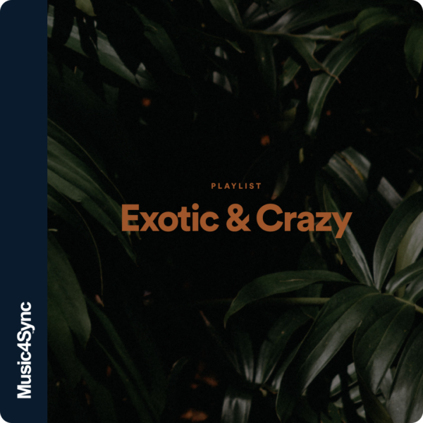 Librairie Musicale Music4Sync - Exotic